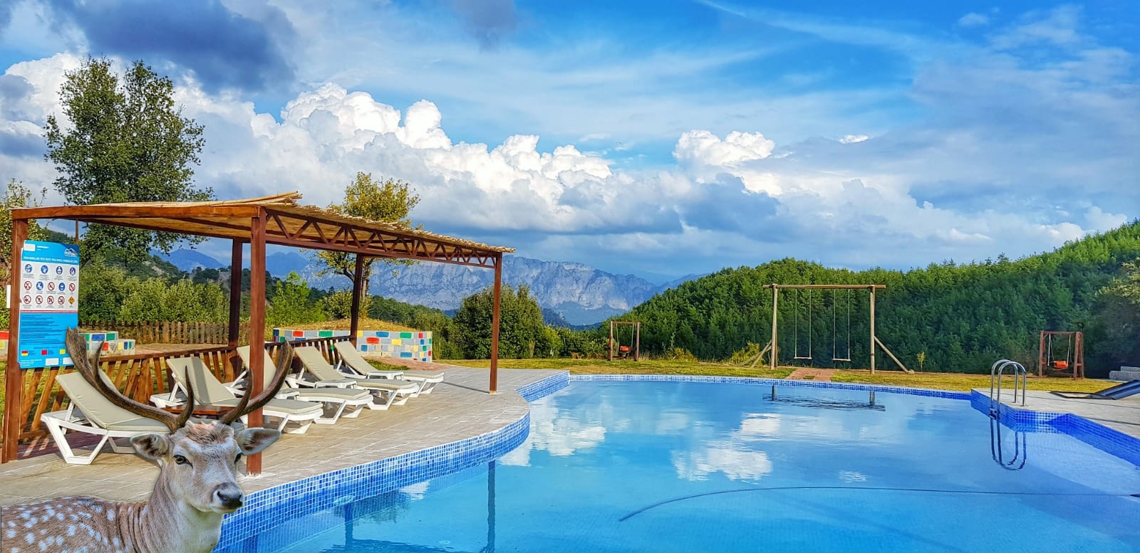 Infinity-Pool mit Einzigartigem Naturblick ∞