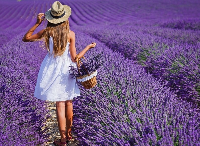 LAVENDEL-TOUREN